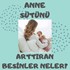 ANNE SÜTÜ ARTIRAN BESİNLER